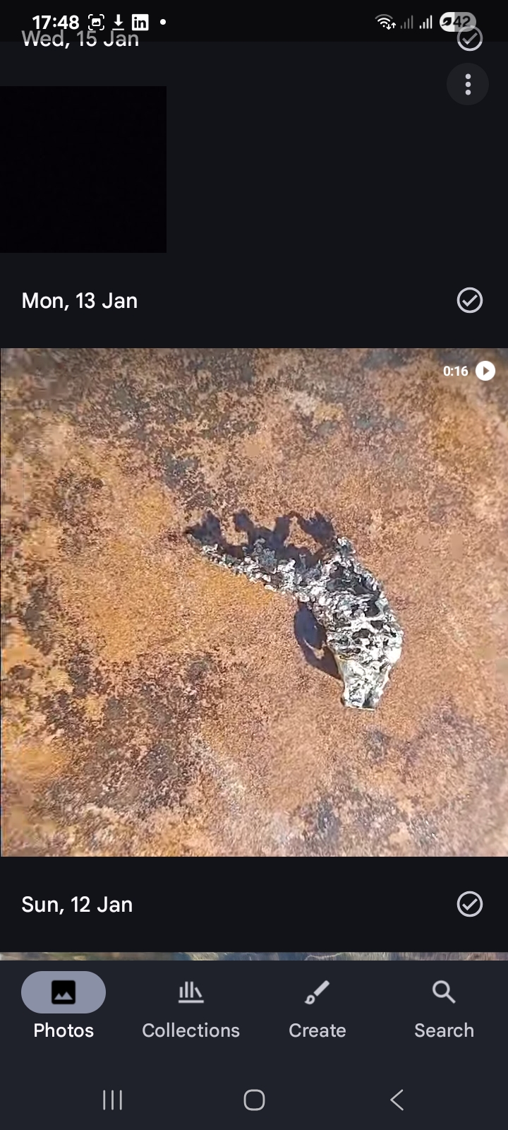 Like leopard 